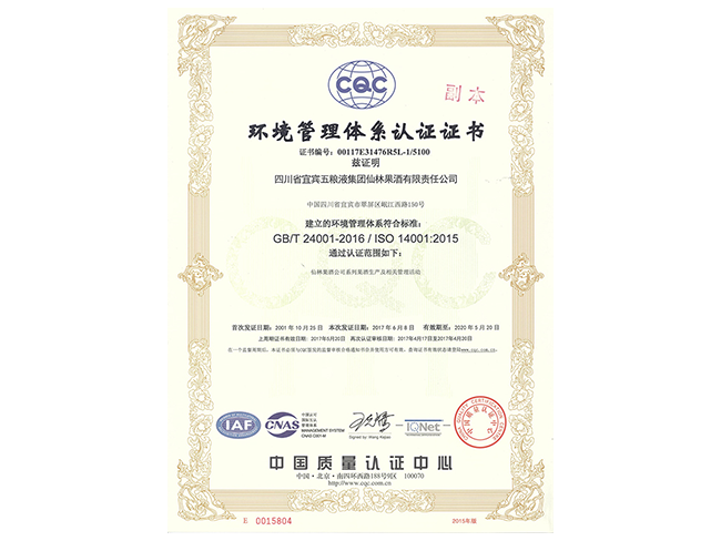 2001年环境管理体系认证证书