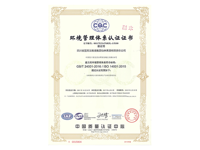 2001年环境管理体系认证证书